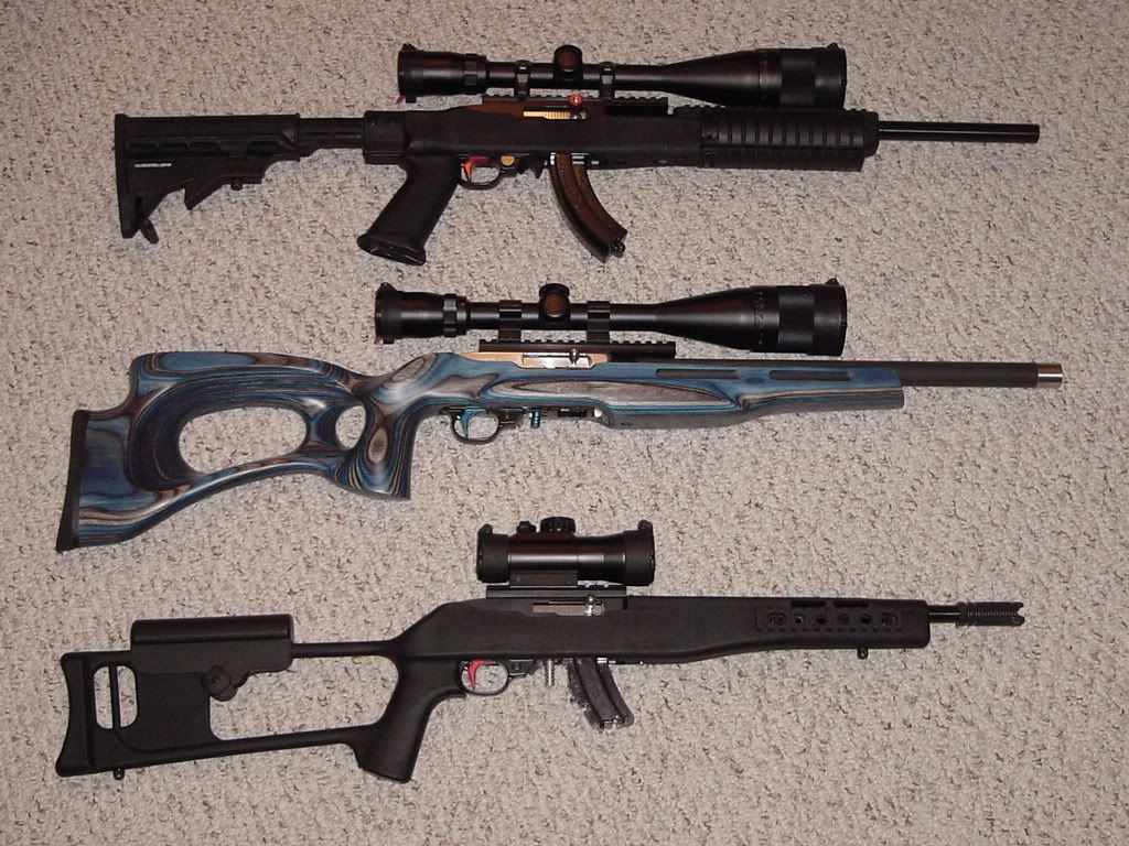 17 Mach 2 Conversion Ruger 10/22 - Page 2 - JeepForum.com