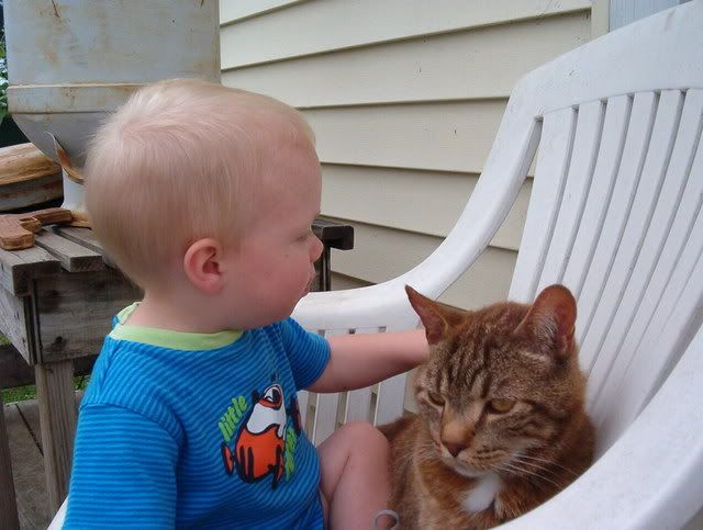 MLF homesteading weekend - put pics here! - Homesteading Questions