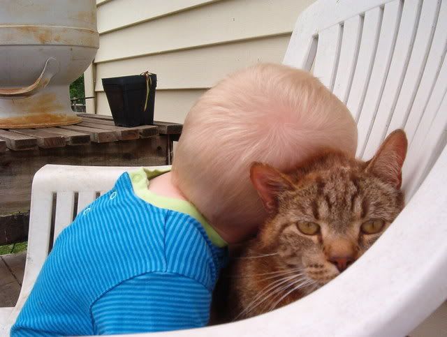 MLF homesteading weekend - put pics here! - Homesteading Questions