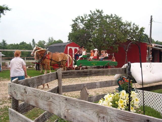 MLF homesteading weekend - put pics here! - Homesteading Questions