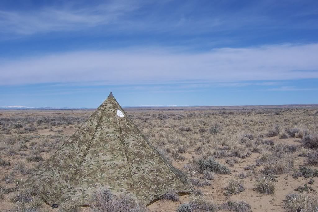 Multicam Tent