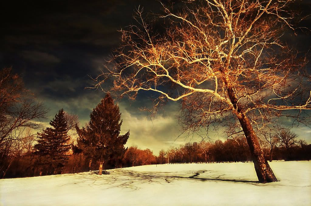 Photo Sharing and Video Hosting at Photobucket Photo Sharing and Video Hosting at Photobucket