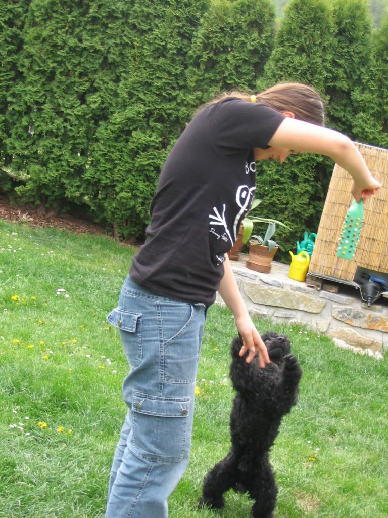 Photo Sharing and Video Hosting at Photobucket Photo Sharing and Video Hosting at Photobucket