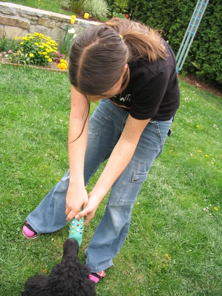 Photo Sharing and Video Hosting at Photobucket Photo Sharing and Video Hosting at Photobucket