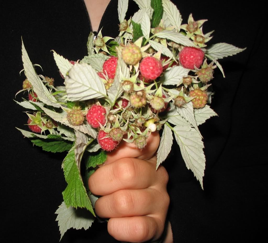 Photo Sharing and Video Hosting at Photobucket Photo Sharing and Video Hosting at Photobucket