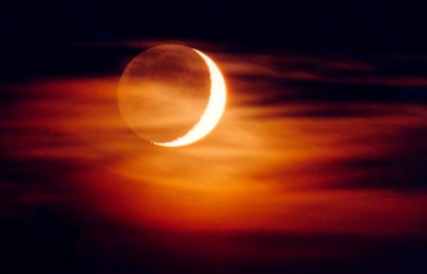 eclipse Pictures, Images and Photos