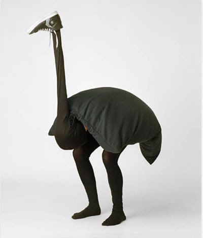 ostrich.jpg