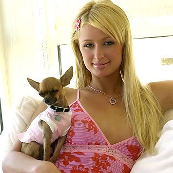 Paris Hilton Hairstyles With Celebrity Long Hair Style,Paris Hilton.jpg,Hair Style