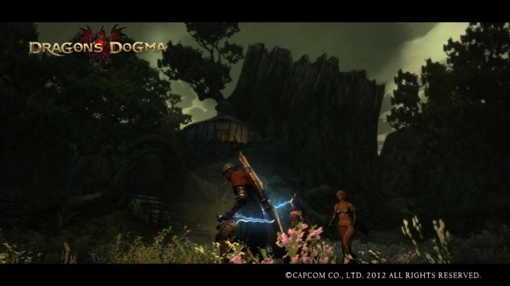 DragonsDogmaScreenshot_1_zps89919432.jpg