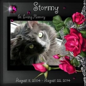 photo StormyGuardianAngel_zps3bdc00a0.jpg