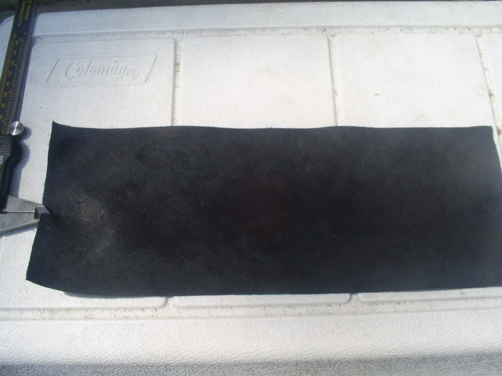 S5030557.jpg