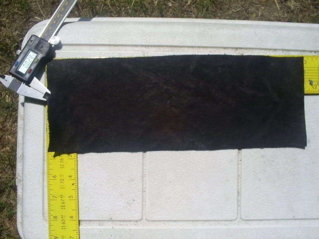S5030559-1.jpg