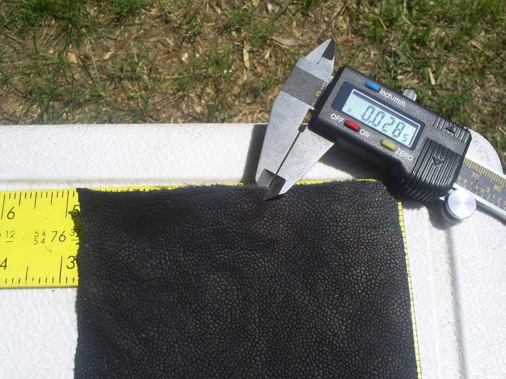 S5030561.jpg