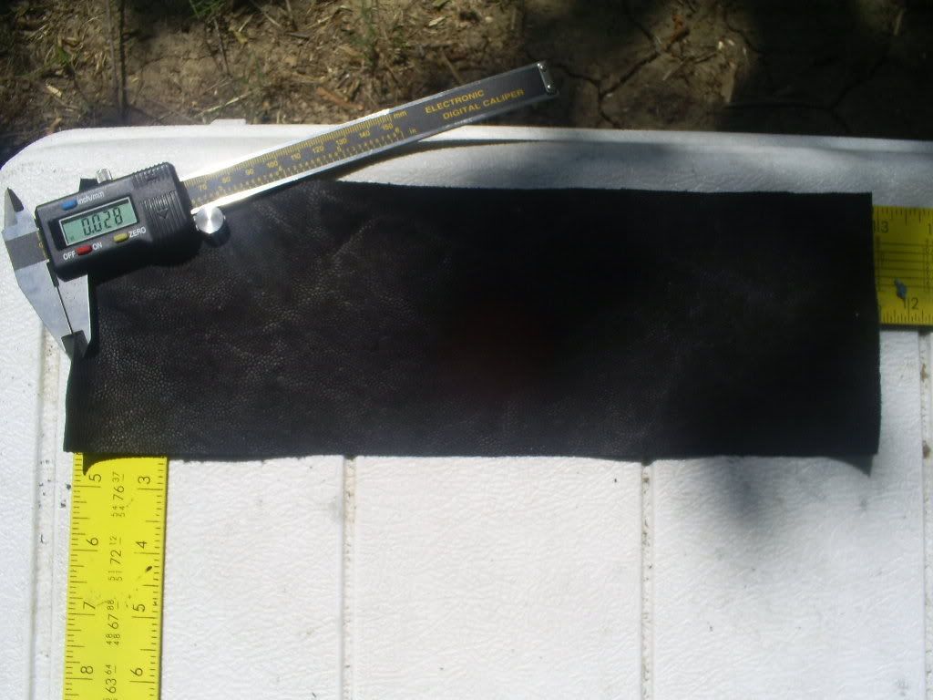 S5030566.jpg