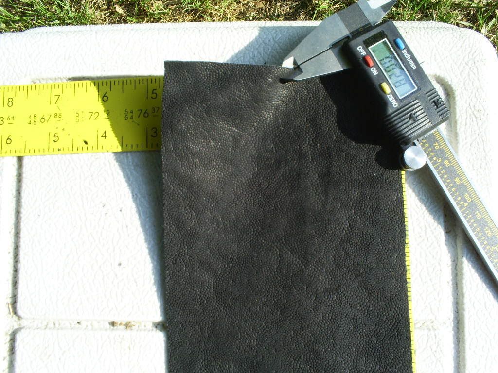 S5030567.jpg