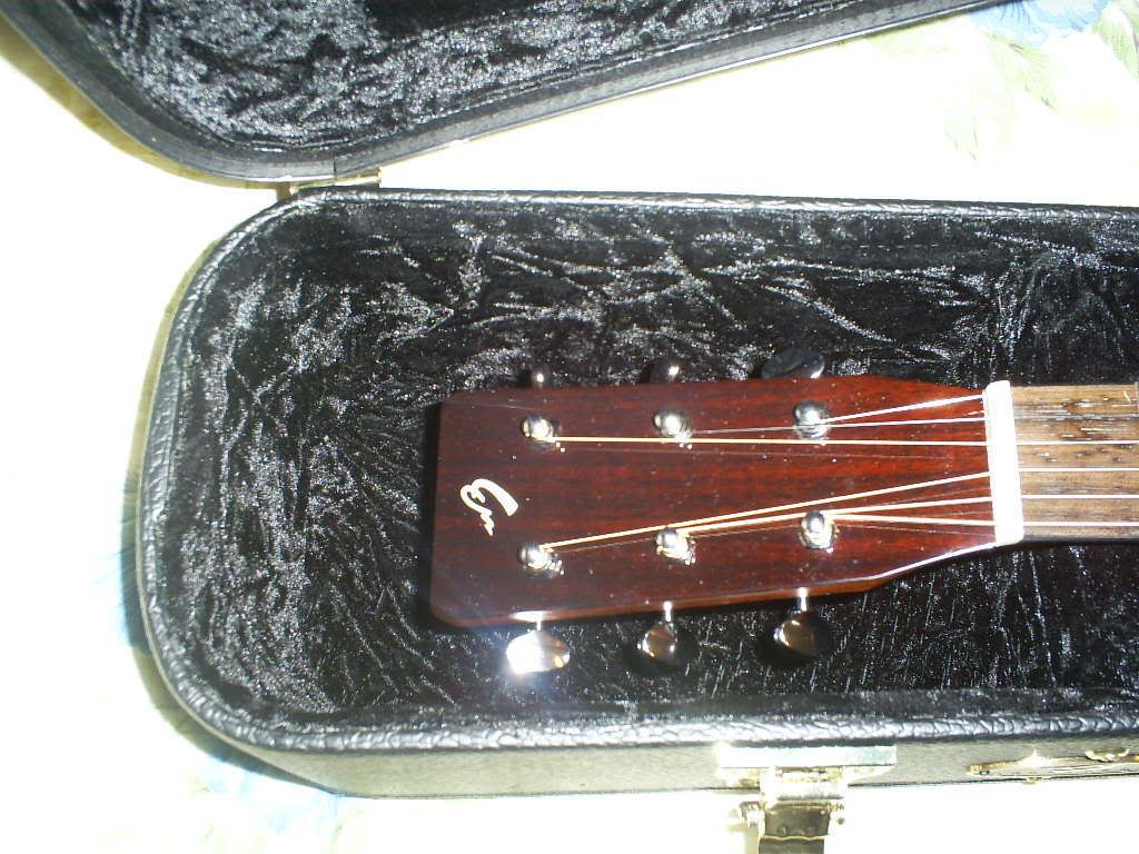 S5030815.jpg