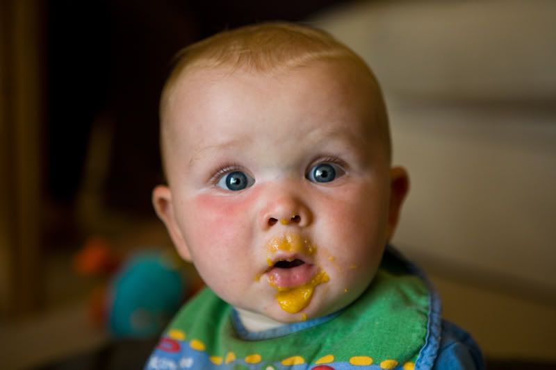 IMAGE: http://i171.photobucket.com/albums/u314/davidpolette/_MG_0051.jpg