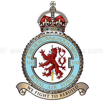 310 Sqn – We Fight To Rebuild 