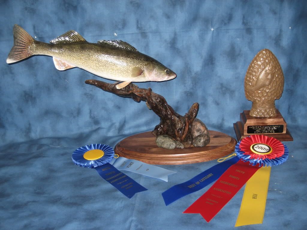 South Dakota Taxidermy Competition North Dakota Fishing and Hunting Forum