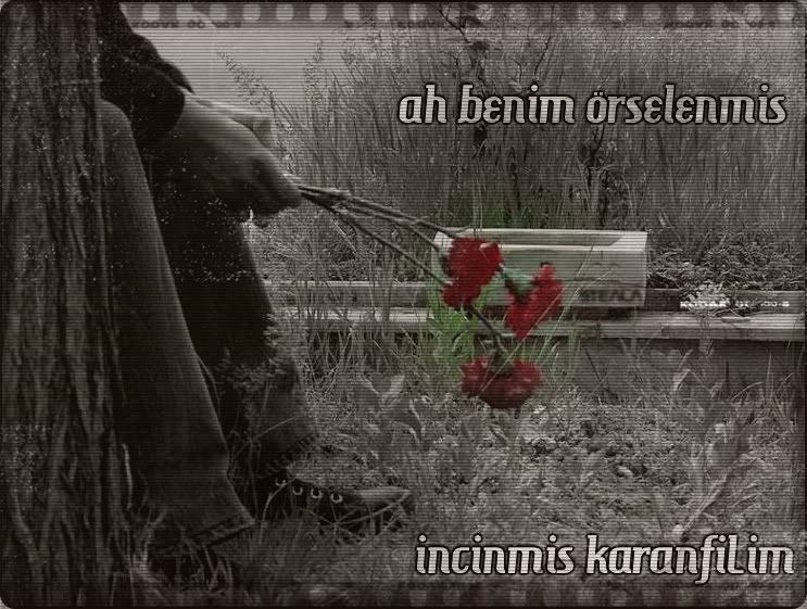 1-130.jpg