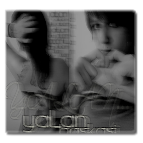 216_YALAN3_2.png