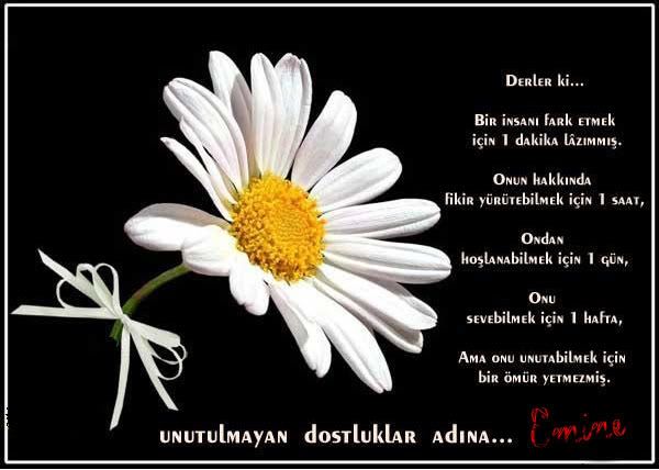 DOST.jpg