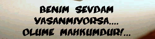 adszom1.png