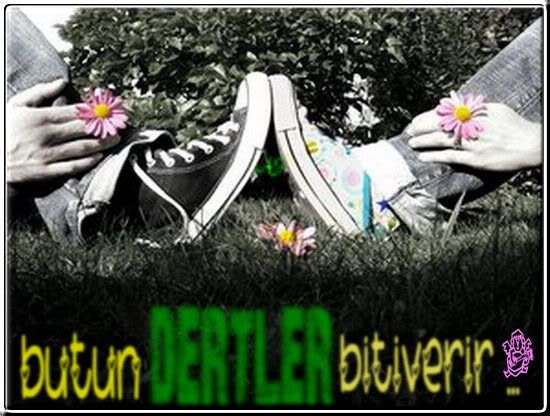 angeldertlersm1.jpg