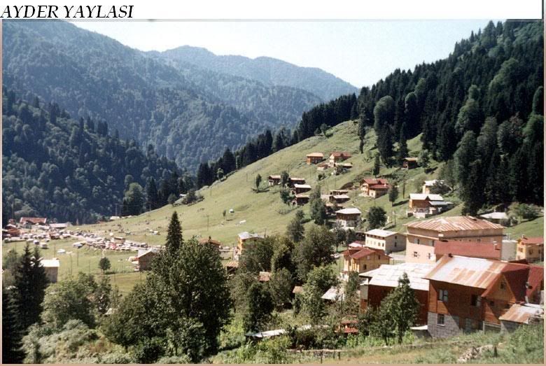 ayder_yaylasi.jpg