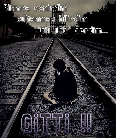 bitmezsanirdimvd3.jpg