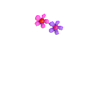 bloemennew8831000076va9.gif
