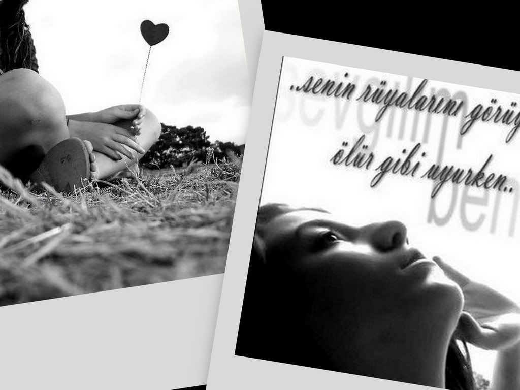 collage8.jpg