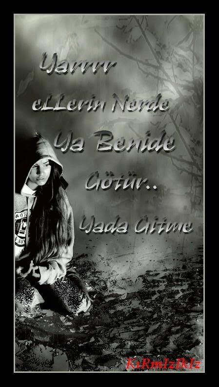 gitme5pbeq6fb4pi5.jpg