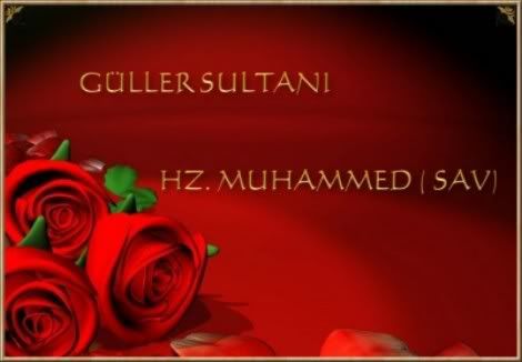 gul_440.jpg