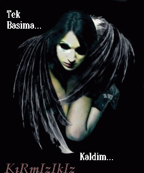 konu2.gif