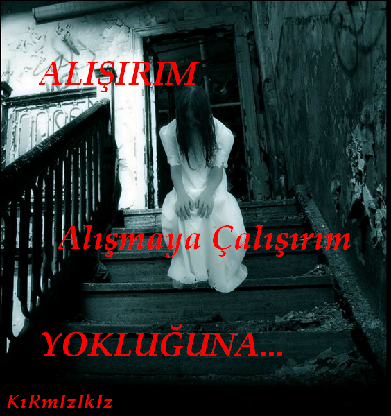 resim1.png