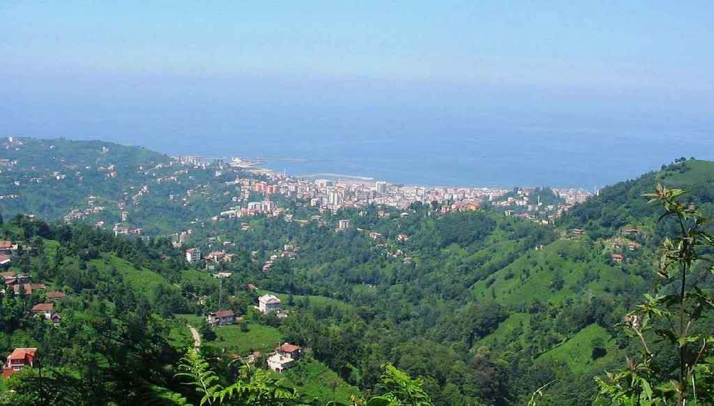 rize_009.jpg