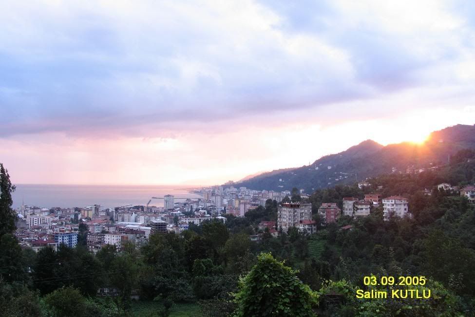 rize_010.jpg