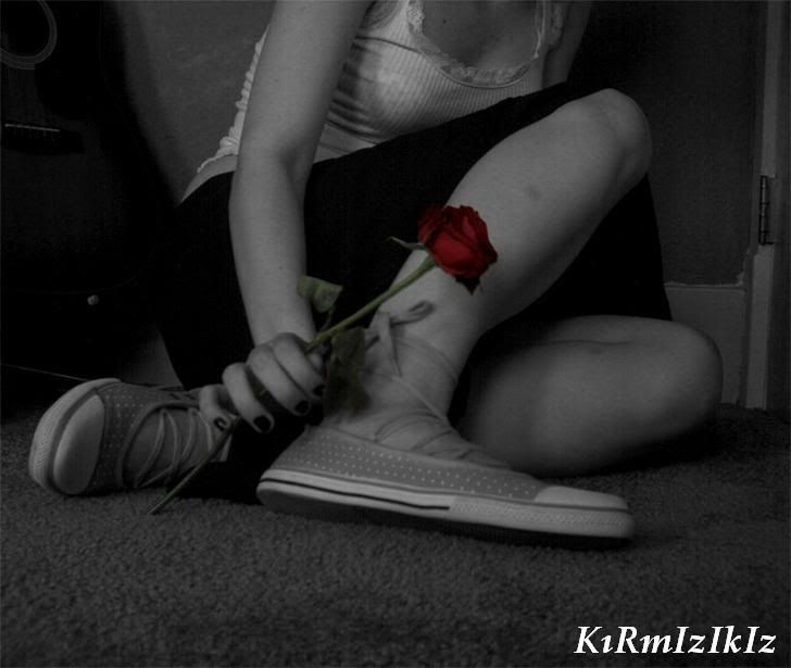 solitarysrosebythesweetzn9.jpg