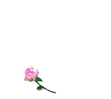 uwf422152qw2rosh1.gif