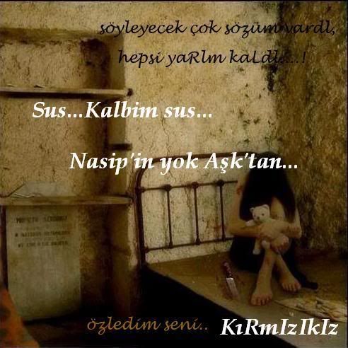 zledimseni9fl.jpg
