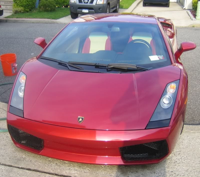 lambo2.jpg