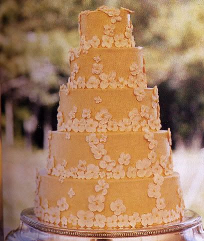 Orange Cake Pictures, Images and Photos