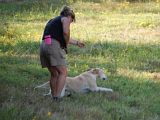 LRCPAKCHuntTest9-12-08146.jpg image by silverbrookkennels