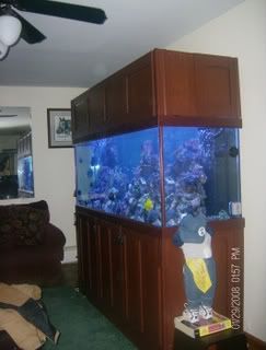 fishtank1018-1.jpg