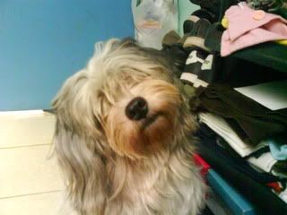 migz