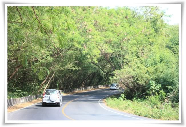 10 12สระบุรี ฟาร์ม ชคชัย เขาใหญ่ 1