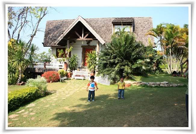 10 12สระบุรี ฟาร์ม ชคชัย เขาใหญ่ 1