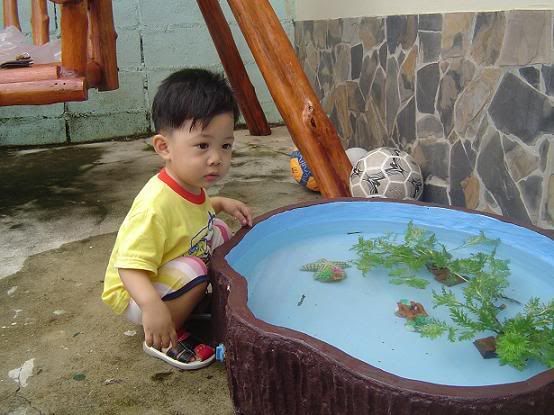 เปลี่ยนน้ำอ่างปลาครั้งแรก