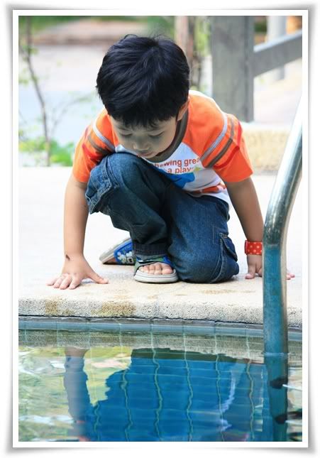 10 12สระบุรี ฟาร์ม ชคชัย เขาใหญ่ 1